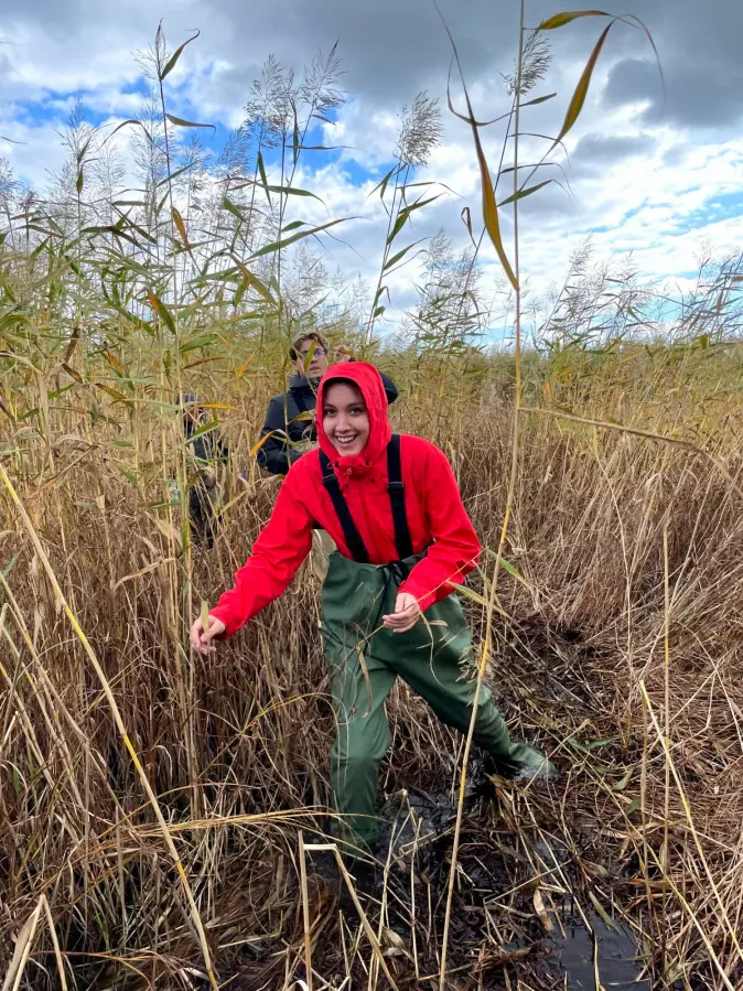 Research scientist Emily Cowan is looking for salt marsh species and studying the habitat’s ability to sequester CO<sub>2</sub>. Here she is in a reed bed outside Stockholm.
