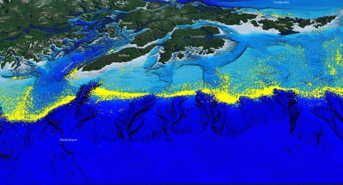 Store deler av fiskeriaktiviteten utenfor Lofoten og Vesterålen er lokalisert til geologiske landskapsformer. Figuren viser sporingsdata fra Fiskeridirektoratet for fiskefartøy over 24 meter siden år 2000. (Illustrasjon: MAREANO) Store deler av fiskeriaktiviteten utenfor Lofoten og Vesterålen er lokalisert til geologiske landskapsformer. Figuren viser sporingsdata fra Fiskeridirektoratet for fiskefartøy over 24 meter siden år 2000. (Illustrasjon: MAREANO)