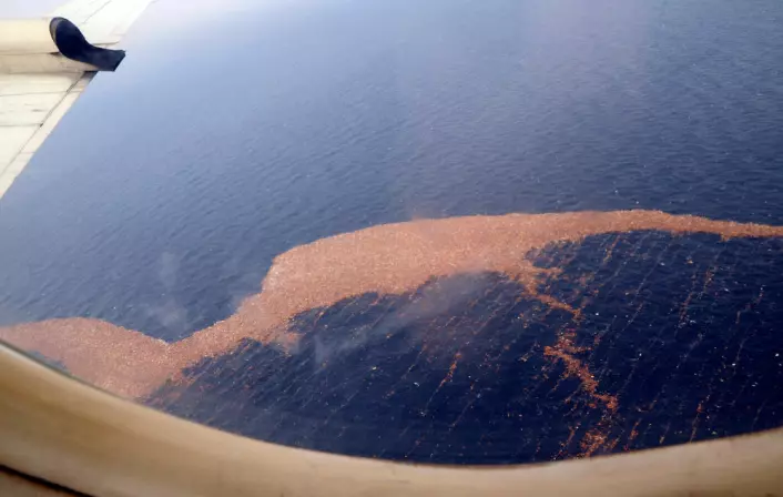 Dette beltet av tsunami-rester vil kunne treffe Hawaii to ganger. (Foto: U.S. Navy/Steve White)