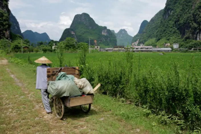 "Selv om forskerne ikke tror verden går tom for fosfor før om 80-90 år, så har Kina allerede stanset all eksport av næringsstoffet. (Illustrasjonsfoto: www.colourbox.com)"