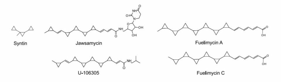 Studiens illustrasjoner av molekylene.
