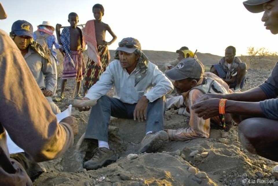 Yohannes Haile-Selassie (sittende midt på bildet) under feltarbeid i Etiopia. Den etiopiske forskeren har gjort en rekke viktige funn av fossile hominider i det som kalles menneskehetens vugge. (Foto: Liz Russel, The Cleveland Museum of Natural History)