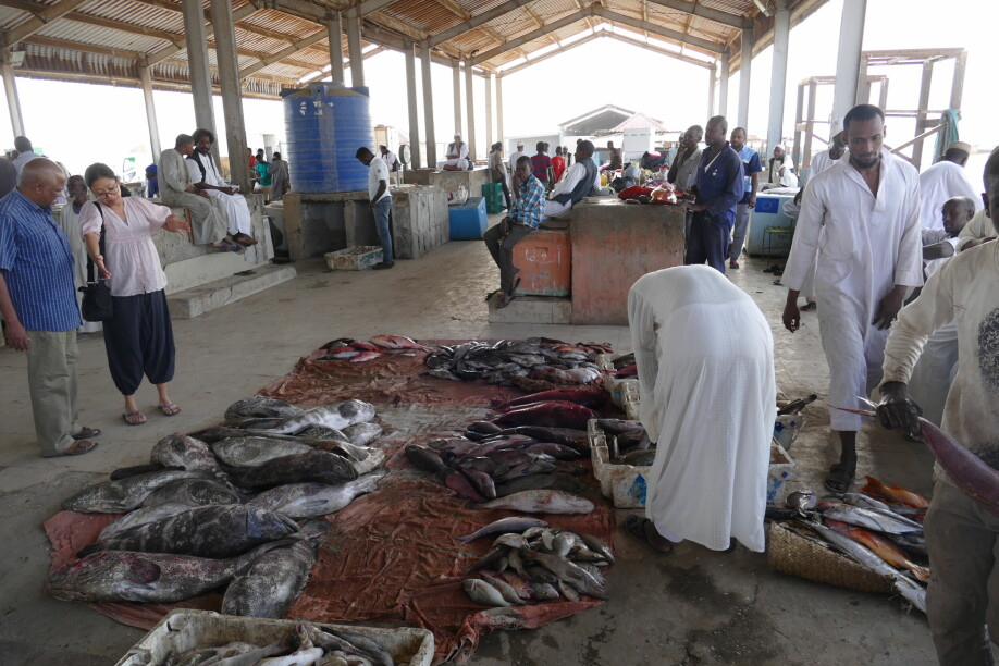 The majority of catches are traded at Sigala, the central fish market in Port Sudan. Valuable data on landings are sampled here on two days per week according to a randomized sampling calendar.