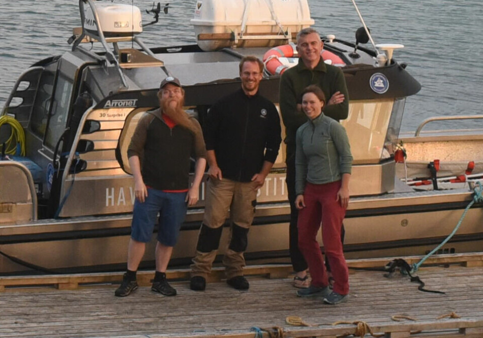 The team is in Lofoten to tag basking sharks. From left: Jan Hinriksson, Keno Ferter, Otte Bjelland and Antonia Klöcker.