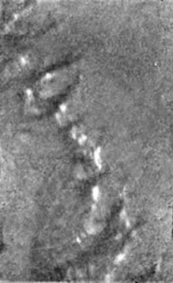 "Her ser du et enkeltbilde av et mørkt sletteområde på Titan. Bildet indikerer at noe har vært eller er flytende rundt de hvite øyene, som sannsynligvis stikker litt opp fra landskapet. (Foto: ESA/NASA/JPL/University of Arizona)" "Her ser du et enkeltbilde av et mørkt sletteområde på Titan. Bildet indikerer at noe har vært eller er flytende rundt de hvite øyene, som sannsynligvis stikker litt opp fra landskapet. (Foto: ESA/NASA/JPL/University of Arizona)"