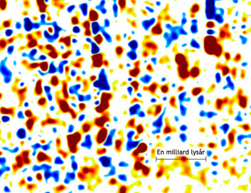 Utsnitt av lite område på det tredimensjonale kartet, hvor røde områder inneholder er bobler med mer hydrogengass. (Figur: Anže Slosar og BOSS Lyman-alpha cosmology working group)