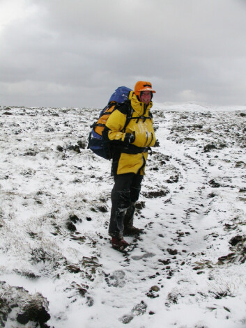 "Professor Dana Bergstrom er for tiden stasjonert på forskningsbasen på Macquarie-øya for å kartlegge vegetasjonen der. Foto: Australian Antarctic Division" "Professor Dana Bergstrom er for tiden stasjonert på forskningsbasen på Macquarie-øya for å kartlegge vegetasjonen der. Foto: Australian Antarctic Division"