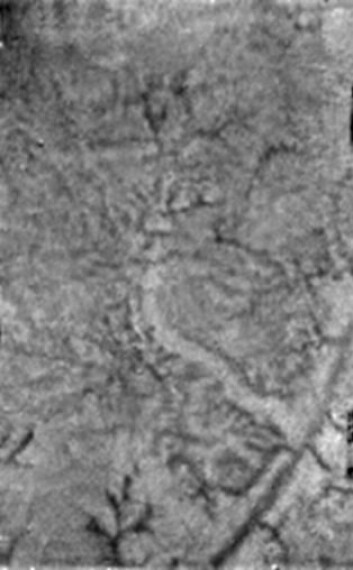 "Dette enkeltbildet viser to nye trekk ved overflaten på Titan. En lys strek indikerer et område hvor vannis kan ha blitt presset opp og utover overflaten. Du ser også korte, mørke kanaler som kan ha blitt dannet av kilder av flytende metan heller enn metanregn. (Foto: ESA/NASA/JPL/University of Arizona)"