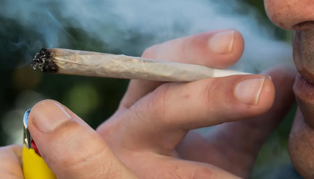 Rekreasjonsbrukere som tar seg en joint, kan fortsatt straffes. Det er likevel naturlig at en kraftig reduksjon i straffenivået for rusavhengige etter hvert også vil påvirke straffenivået for rekreasjonsbrukerne, mener førsteamanuensis i rettsvitenskap Katrine Holter. Rekreasjonsbrukere som tar seg en joint, kan fortsatt straffes. Det er likevel naturlig at en kraftig reduksjon i straffenivået for rusavhengige etter hvert også vil påvirke straffenivået for rekreasjonsbrukerne, mener førsteamanuensis i rettsvitenskap Katrine Holter.