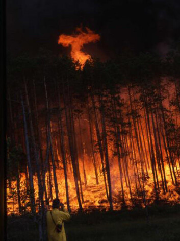 Skogbrann i Sibir. (Foto: Laboratory of Tree-Ring Research, The University of Arizona) Skogbrann i Sibir. (Foto: Laboratory of Tree-Ring Research, The University of Arizona)