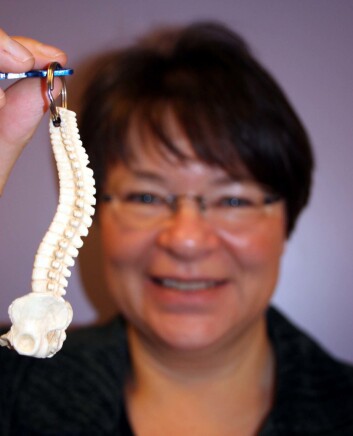 "Nina Emaus har nettopp levert sin doktorgradsavhandling om endringer i beintetthet." "Nina Emaus har nettopp levert sin doktorgradsavhandling om endringer i beintetthet."