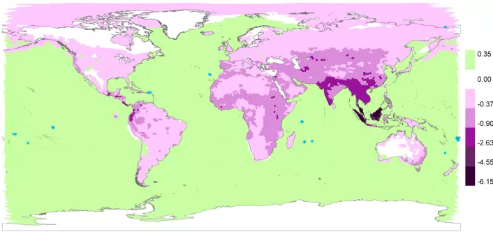 "De mørke-lilla områdene på illustrasjonen viser områdene der utrydningsrisikoen øker, mens de grønne områdene, i hovedsak havene, er der sjansen for at arter dør ut har blitt mindre. (Illustrasjon: Science/AAAS)"
