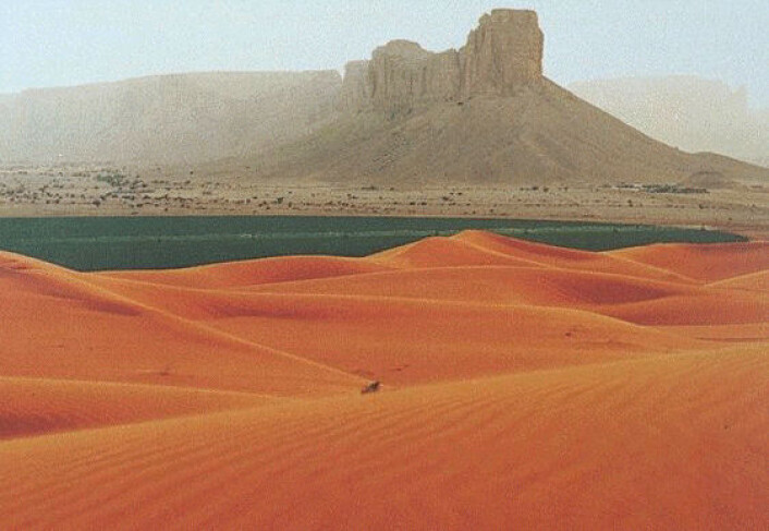 Ørkenen i Saudi-Arabia (Illustrasjonsfoto: Wars, se lisens) Ørkenen i Saudi-Arabia (Illustrasjonsfoto: Wars, se lisens)