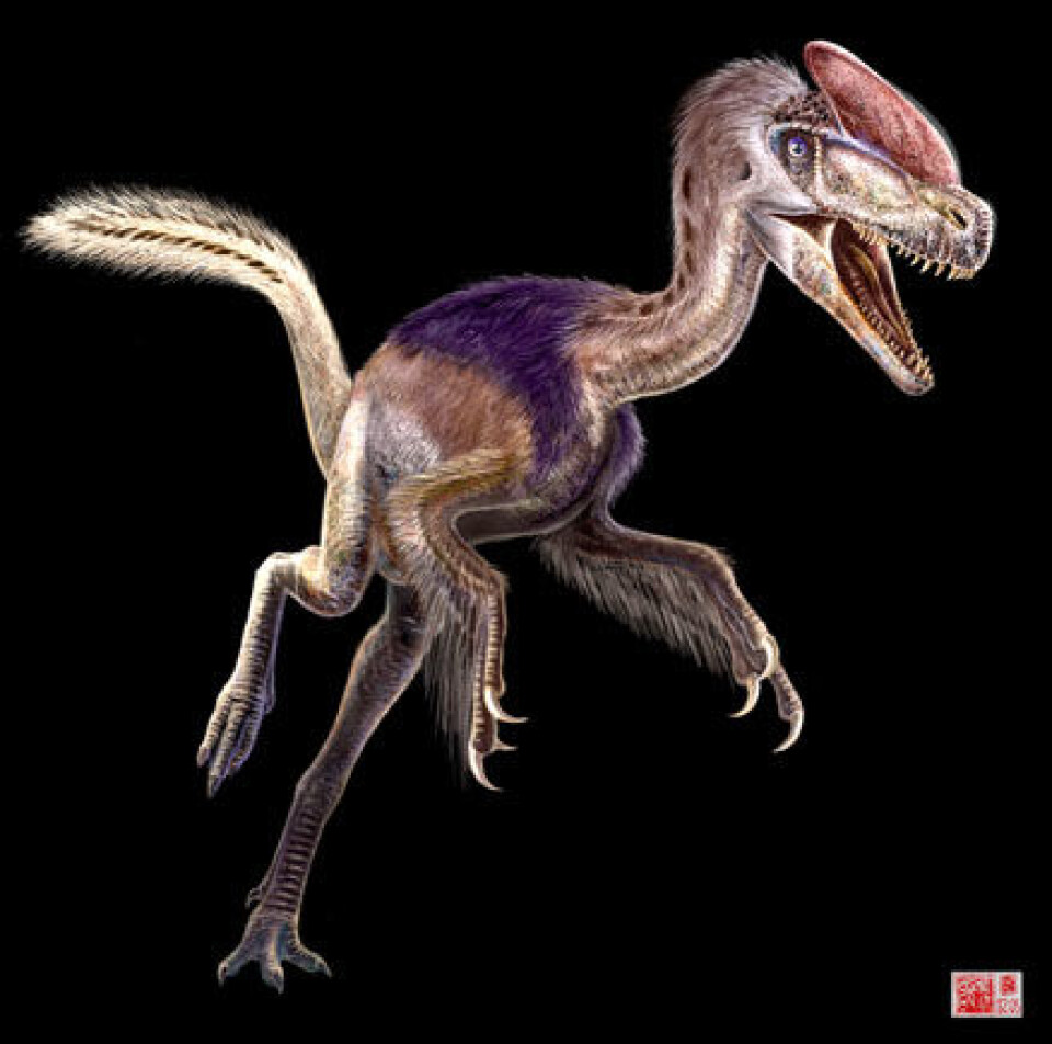 Tyrannosaurus lenge før rex
