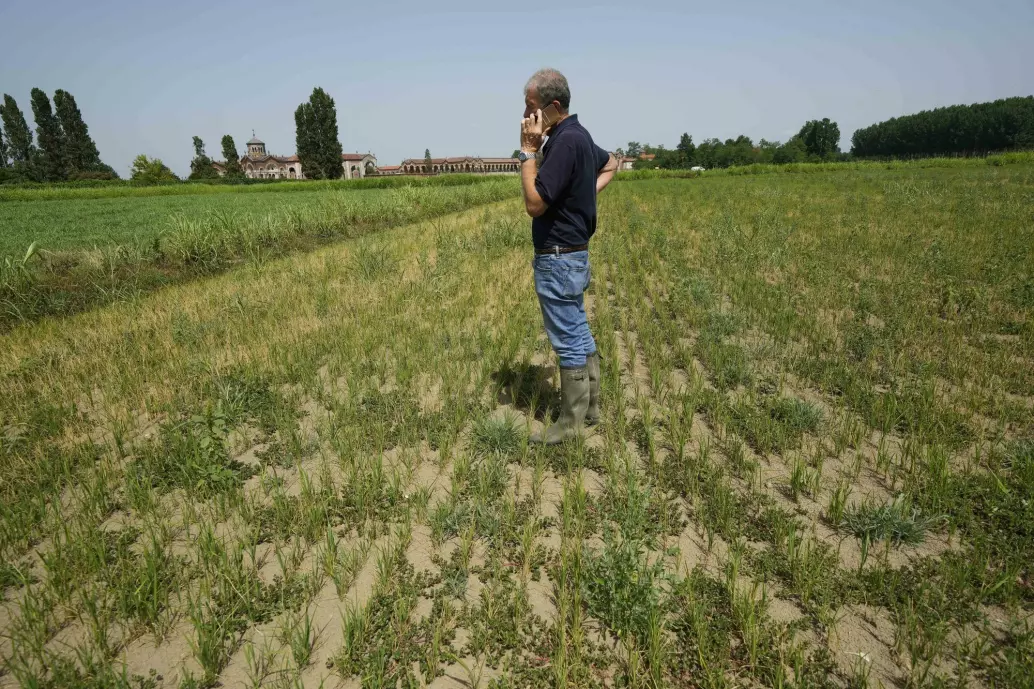Bonden Giovanni Daghetta på en uttørket rismark i Mortara i regionen Lombardia i Nord-Italia i slutten av juni.