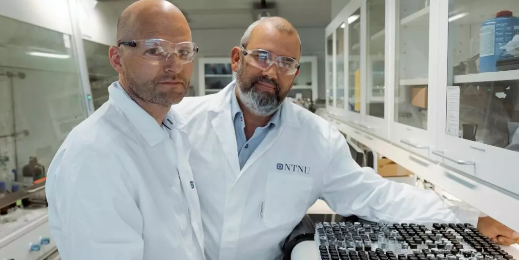NTNU chemists Bård Helge Hoff (left) and Eirik Sundby have been working on developing the main ingredient in a potential new drug for several years.