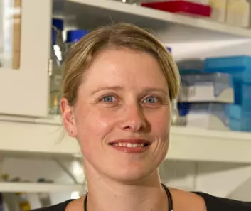 I sitt doktorgradarbeid har stipendiat Anette McLeod har studert den industrielt viktige melkesyrebakterien, Lactobacillus sakei