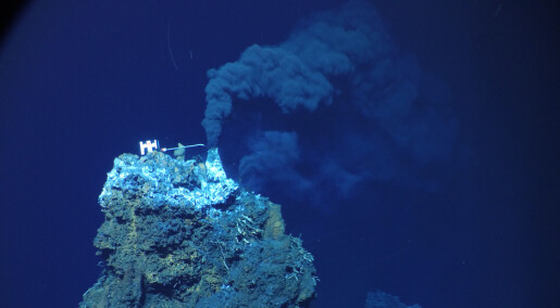 Et nytt felt med skorsteiner på havets bunn er oppdaget i Stillehavet