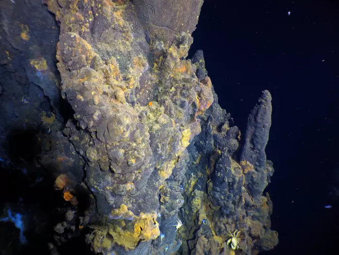 Her ser vi sulfidstrukturer på en skorstein med gul farge av jern. Det er også hvite Bythograeid-krabber. De er blinde og lever bare ved hydrotermiske skorsteiner.