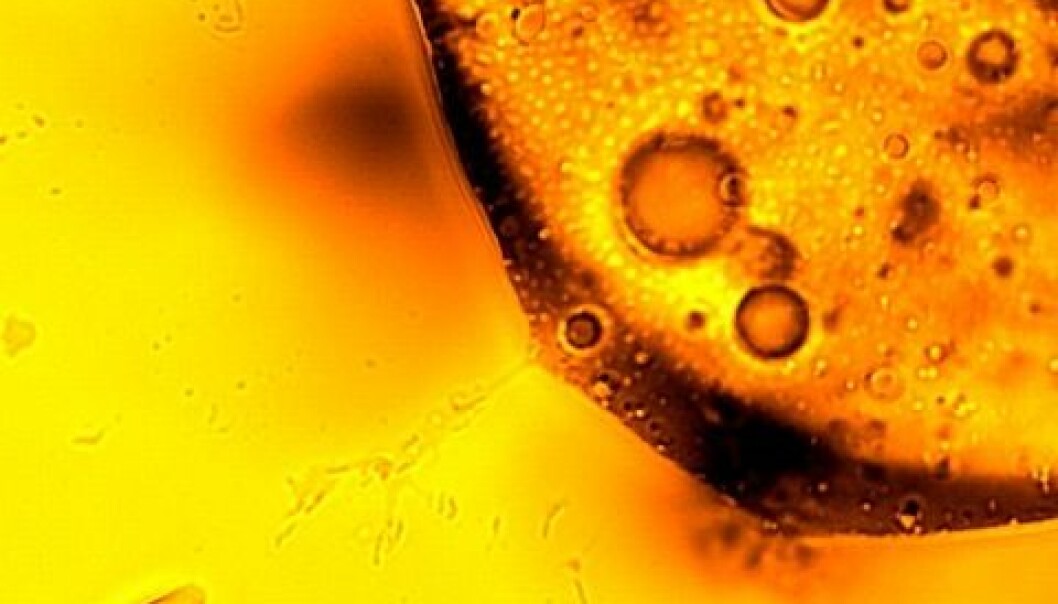 Mikrober eter olje i dypet