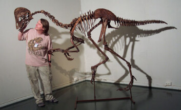 "Dinosaurforsker Jørn Hurum sammen med en kjempediger og ganske fersk Oviraptor. (Foto: Kristin Grønli)" "Dinosaurforsker Jørn Hurum sammen med en kjempediger og ganske fersk Oviraptor. (Foto: Kristin Grønli)"