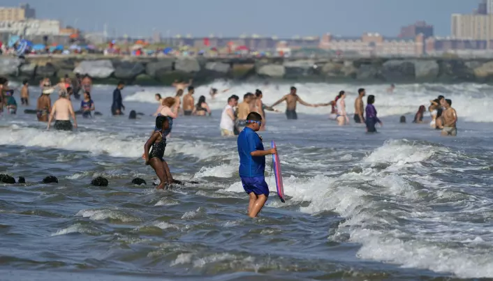 Folk nyter vannet på Rockaway Beach i bydelen Queens i New York. En rekke faktorer, deriblant oppvarming av havet, kan ha bidratt til at haibestanden langs kysten av New York har økt denne sommeren.