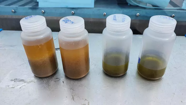 The plankton samples are analysed at NINA's genetics lab.