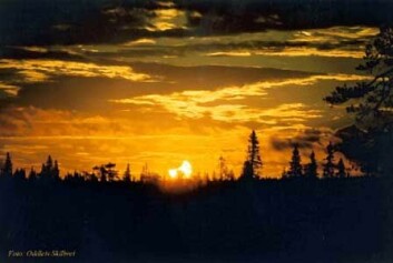 "Solformørkelsen 31. mai er ikke bare den største på nesten 50 år, den kan også bli meget vakker. Sist gang Solen stod meget lavt under en formørkelse, 31. juli 2000, ble dette bildet tatt fra Nord-Sverige. Denne gangen vil formørkelsen på sitt maksimale være over dobbelt så stor. (Foto: Oddleiv Skilbrei)"