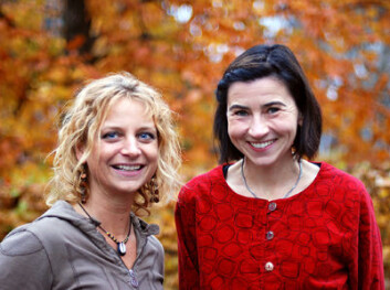 Ellen Karoline Henriksen, Fysisk institutt, UiO og Camilla Schreiner ved Naturfagsenteret er initiativtakere til og koordinatorer for IRIS. Ellen Karoline Henriksen, Fysisk institutt, UiO og Camilla Schreiner ved Naturfagsenteret er initiativtakere til og koordinatorer for IRIS.