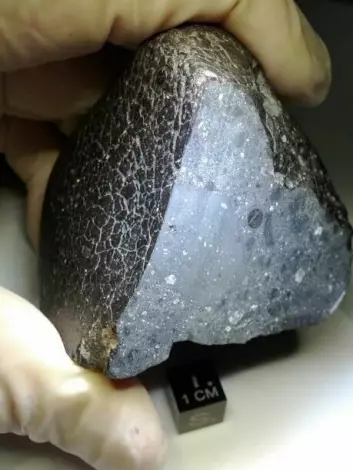 Vi kjenner til omkring 300 Mars-meteoritter på jorden. NWA 7034 er ganske unik fordi den er den eldste og den eneste som består av grove fragmenter av flere ulike typer stein.