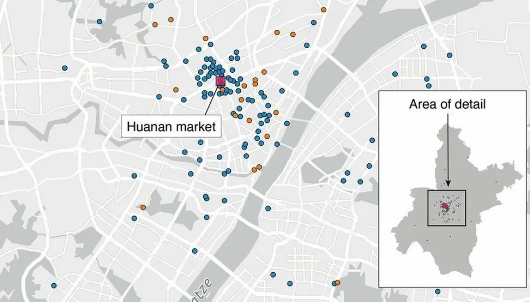 Forskere bak en ny studie har blant annet kartlagt hvor de som først ble syke med koronaviruset bodde. Forskere bak en ny studie har blant annet kartlagt hvor de som først ble syke med koronaviruset bodde.