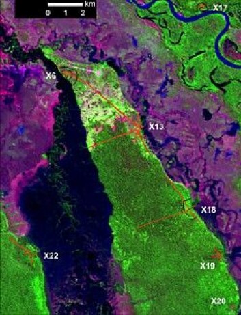 Nordlige bysamfunn. GPS-kartlagte jordvoller er markert med røde streker for veier og torg. (Foto: Science/AAAS) Nordlige bysamfunn. GPS-kartlagte jordvoller er markert med røde streker for veier og torg. (Foto: Science/AAAS)