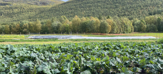 Varmere klima kan gi nye muligheter for landbruket i Nord-Norge