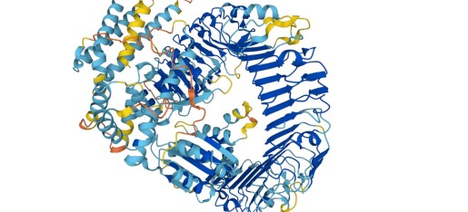 Kunstig intelligens har beregnet formen til nærmest alle kjente proteiner