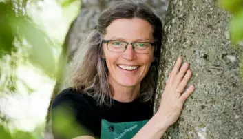 Anne Sverdrup-Thygeson er professor og insekt-ekspert fra NMBU.