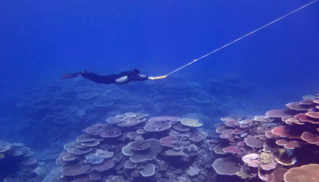 Australske myndigheter følger nøye med på tilstanden til Great Barrier Reef.