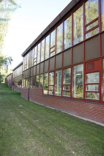 Den vindusrike nordveggen på Steindal skole er lite energieffektiv. Ved å bytte vinduer, samt etterisolere, vil energiforbruket gå kraftig ned, viser Sartoris forsøk. (Foto: Kenneth Stoltz) Den vindusrike nordveggen på Steindal skole er lite energieffektiv. Ved å bytte vinduer, samt etterisolere, vil energiforbruket gå kraftig ned, viser Sartoris forsøk. (Foto: Kenneth Stoltz)