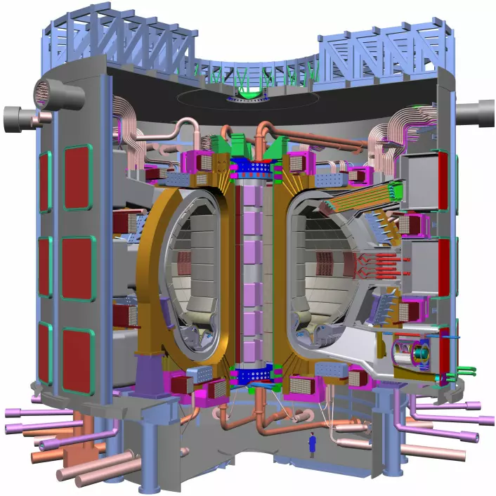 "Tverrsnitt av selve plasmabeholderen, eller tokamaken, i ITER. Den vil måle omlag 30 meter i diameter, og hele anlegget skal stå klart i 2018. (Illustrasjon: ITER)"