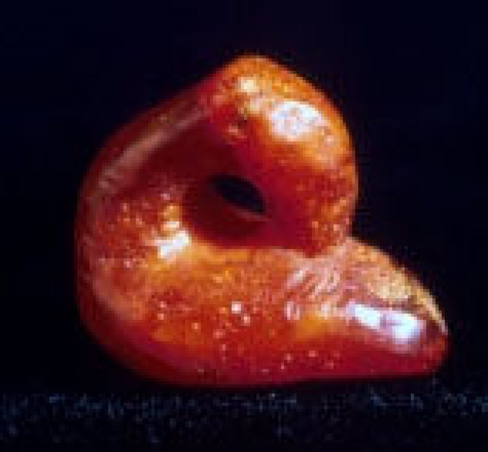 'En liten fugl av rav, muligens ikke helt ferdig og derfor sannsynligvis laget på Borg. (Foto: Tromsø Museum)'