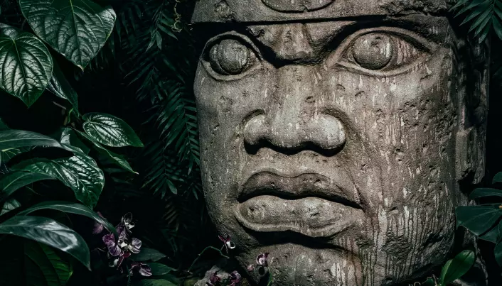 Det var folk fra oltidens Olmec-sivilisasjon som lagde disse store skulpturene i Mexico for omtrent 3.000 år siden, rundt tiden da menneskehjernen skal ha begynt å krympe.