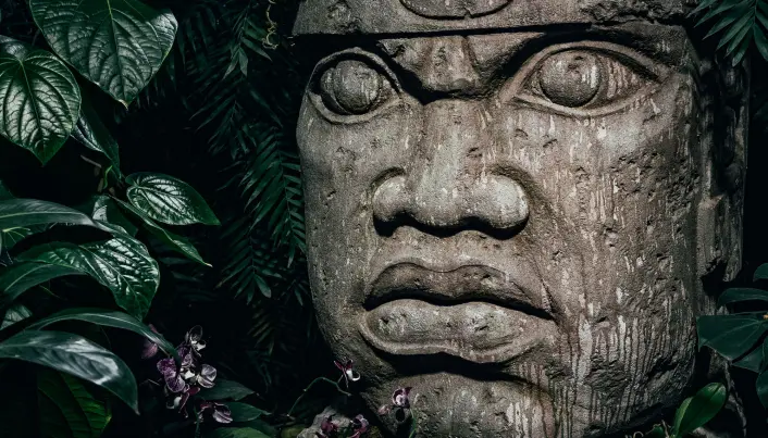 Det var folk fra oltidens Olmec-sivilisasjon som lagde disse store skulpturene i Mexico for omtrent 3.000 år siden, rundt tiden da menneskehjernen skal ha begynt å krympe. Det var folk fra oltidens Olmec-sivilisasjon som lagde disse store skulpturene i Mexico for omtrent 3.000 år siden, rundt tiden da menneskehjernen skal ha begynt å krympe.