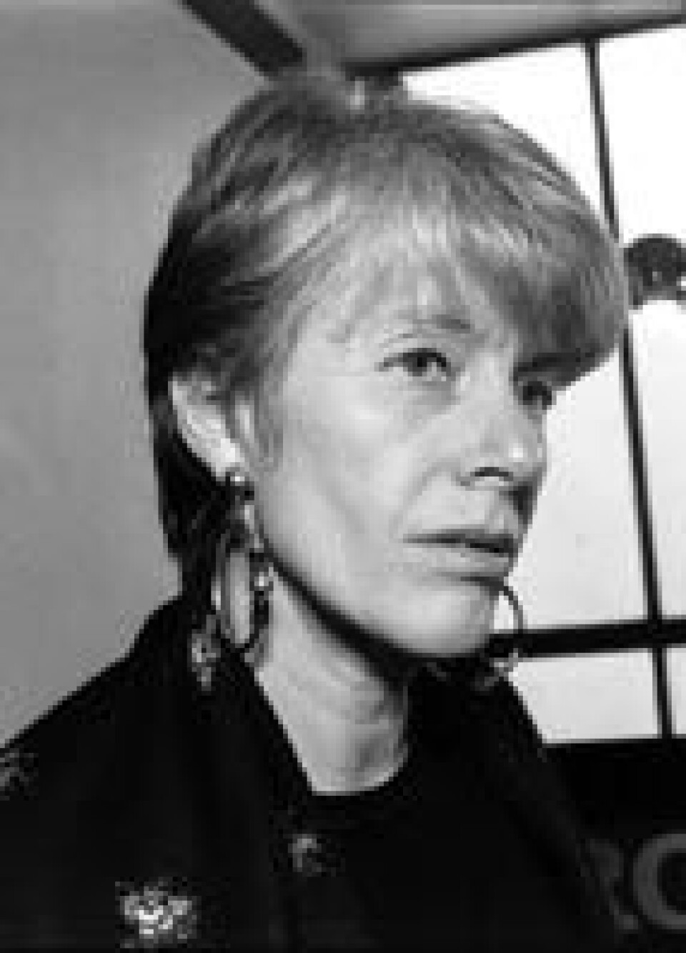 'Professor Kjersti Ericsson.'