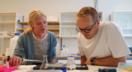 Musestudie: Forskere fant gen som kan redusere hjerneskade hos nyfødte Musestudie: Forskere fant gen som kan redusere hjerneskade hos nyfødte