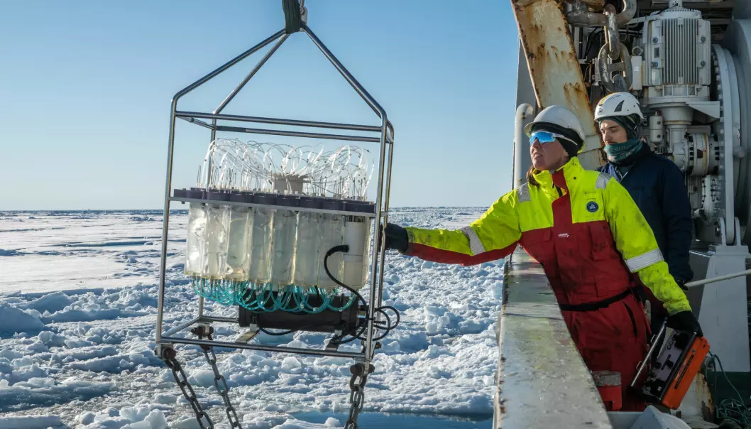 Det marine økosystemet i Polhavet er understudert, men eksisterende forskning viser at det utfordres av de store og raske endringene i isdekket og vannet.