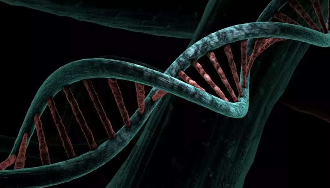 DNA-metylering avgjer kva gen som vert aktiviserte eller ikkje.