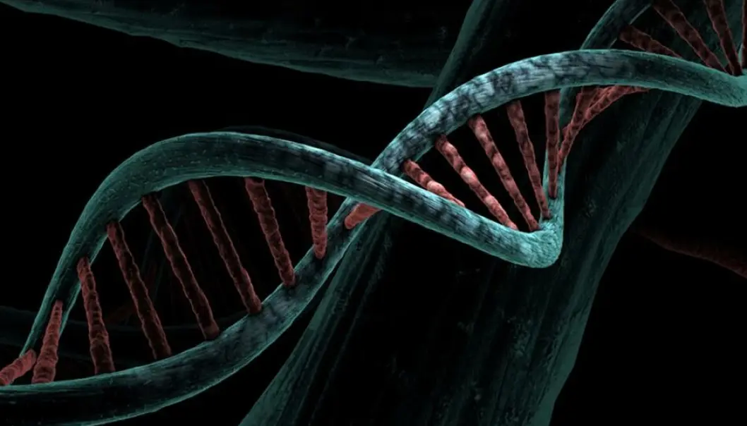 DNA-metylering avgjer kva gen som vert aktiviserte eller ikkje. DNA-metylering avgjer kva gen som vert aktiviserte eller ikkje.