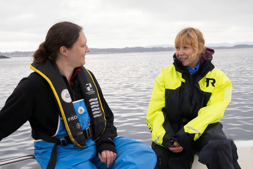 Out collecting data: postdoctoral researcher Kate McQueen (left) and researcher Lise Doksæter Sivle (right).