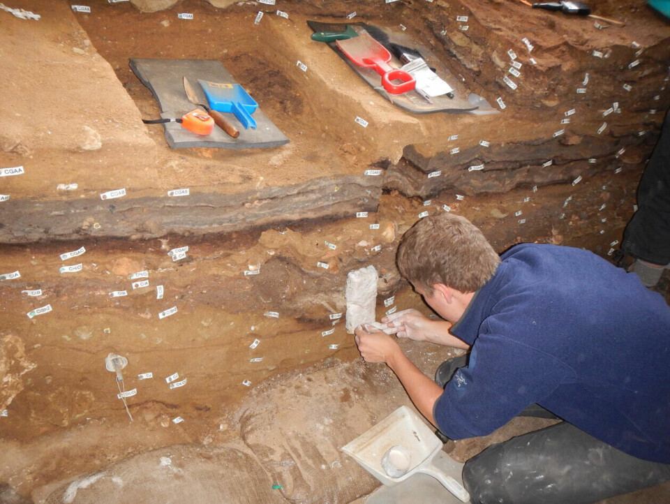 BLOCK OF SEDIMENT: Magnus Haaland taking a block section from a profile at Blombos Cave.
