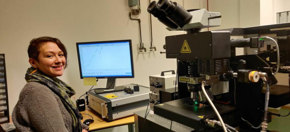 Elizabeth Velliky analysing the thin section of the ochre piece using Raman spectroscopy.