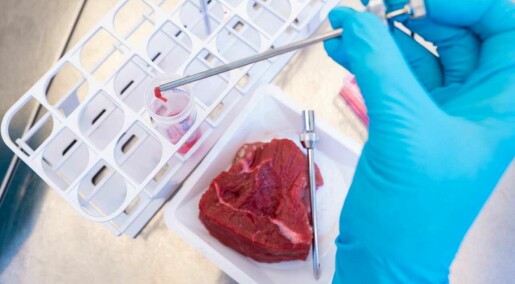 Hvor blir det av kjøttet som er dyrket fram i laboratoriet?